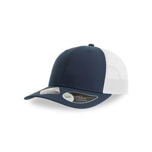 BRYCE, miniatyr 4